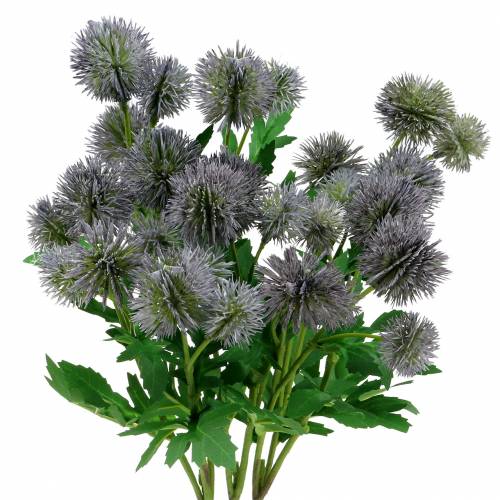 Floristik24 Tistelsilkeblomma blå 56cm 3st