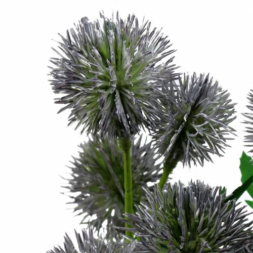 Floristik24 Tistelsilkeblomma blå 56cm 3st