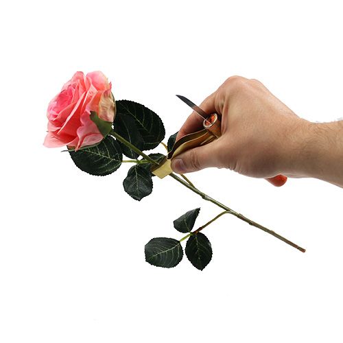 Floristik24 Rostaggborttagare med kniv