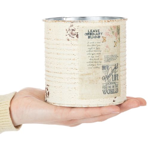 Plåtplanta krämfärgad metall Shabby Chic Ø11cm H10.5cm | Floristik24.se