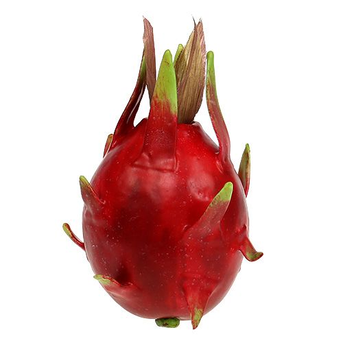 Floristik24 Dragon frukt 15cm röd 1 st