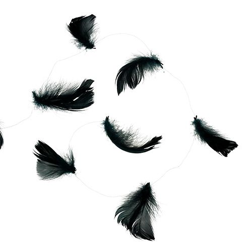 Floristik24 Tråd med fjädersvart 10m