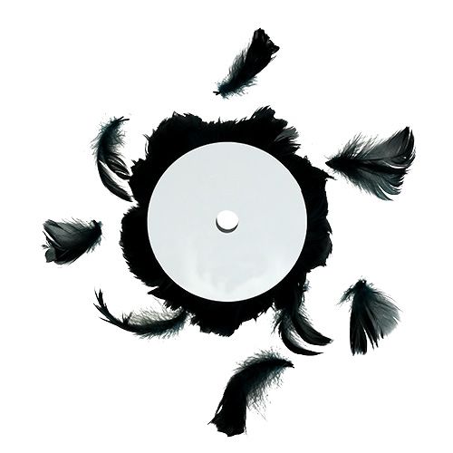 Floristik24 Tråd med fjädersvart 10m