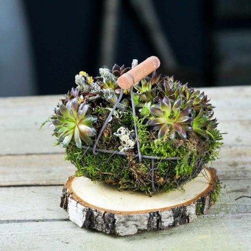 Floristik24 Trådkorg oval med handtag grå 17×11 cm H15 cm 2 st