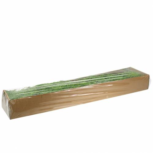 Floristik24 Djungelmossa vårgrön 250g