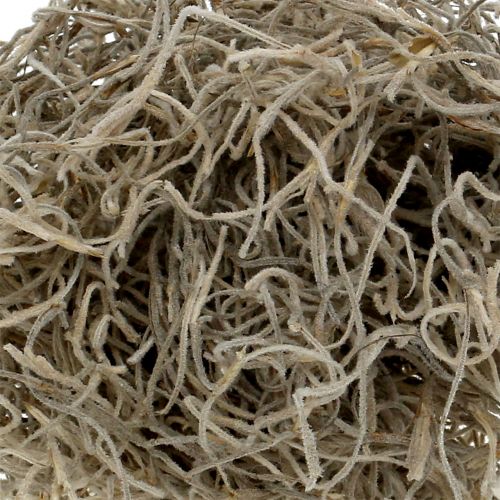 Floristik24 Djungelmossa naturligt 250g