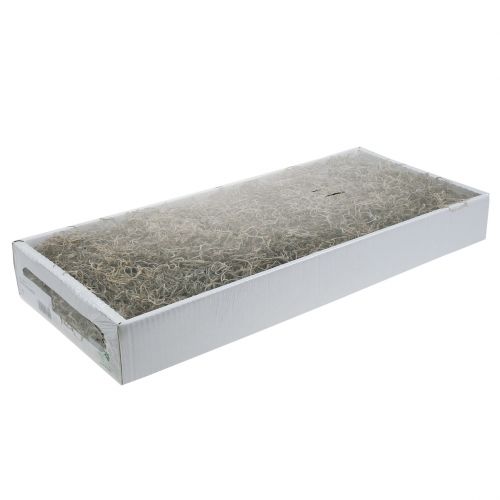 Floristik24 Djungelmossa naturligt 250g