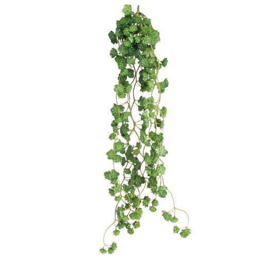 Artikel Echeveria konstgjorda hängande växter i grönt B12cm L50cm