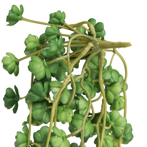 Artikel Echeveria konstgjorda hängande växter i grönt B12cm L50cm