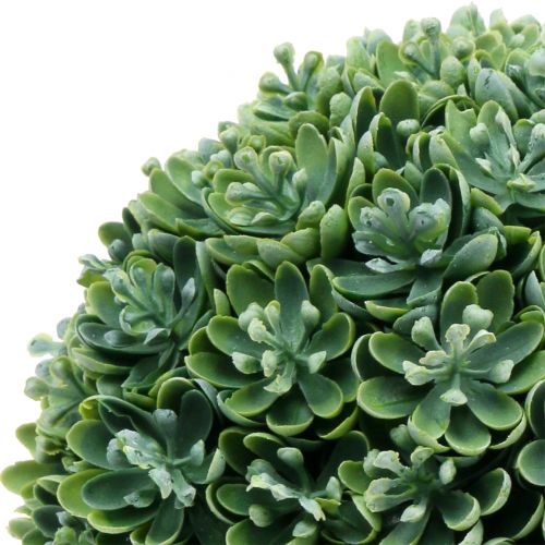 Echeveria boll konstgrön Ø18cm