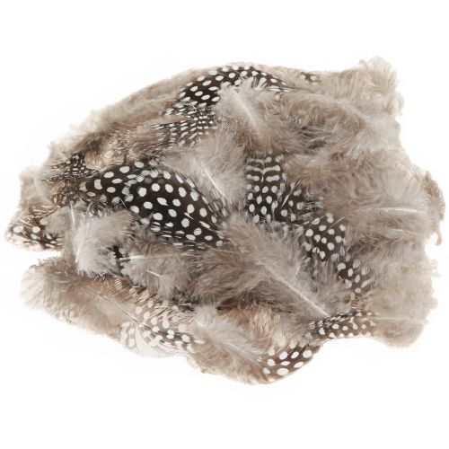 Floristik24 Äkta pärlhönsfjädrar dekorativa fjädrar naturliga 4-12cm 100 stycken