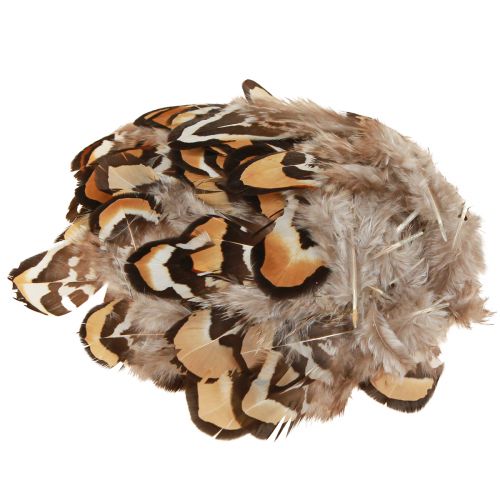 Riktiga fågelfjädrar dekorativa fjädrar randiga 3-4cm 60 st