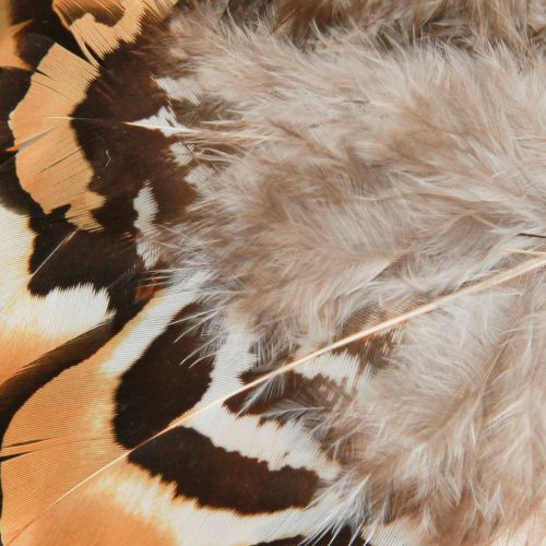 Artikel Riktiga fågelfjädrar dekorativa fjädrar randiga 3-4cm 60 st
