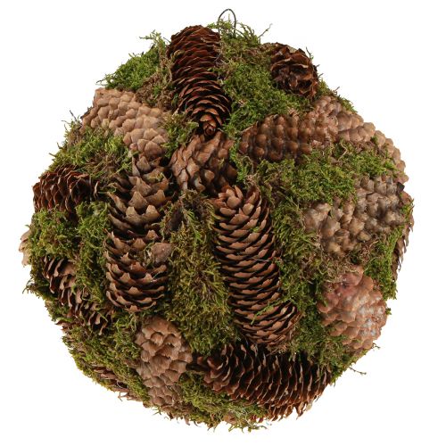 Artikel Äkta kottar dekorativ boll med mossa naturlig dekoration Ø25cm H25cm