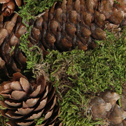 Artikel Äkta kottar dekorativ boll med mossa naturlig dekoration Ø25cm H25cm