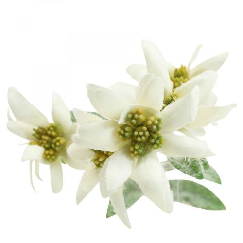 Floristik24 Edelweiss konstgjord blomma vit flockad 38cm