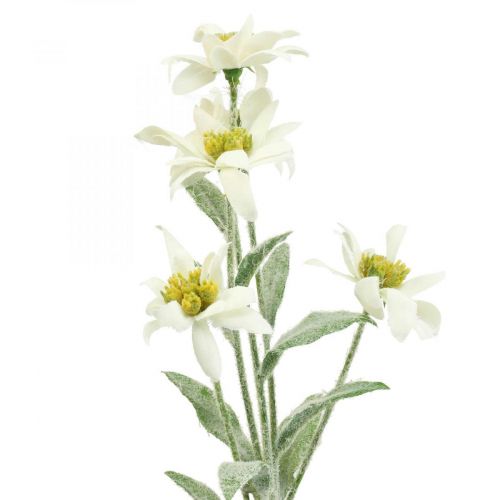 Floristik24 Edelweiss konstgjord blomma vit flockad 38cm