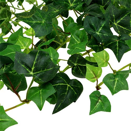Floristik24 Murgröna ranka grön 70cm