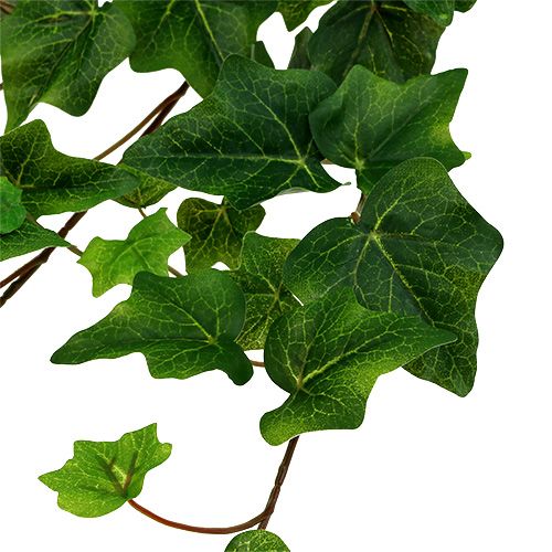 Floristik24 Konstgjord murgröngrön 60cm