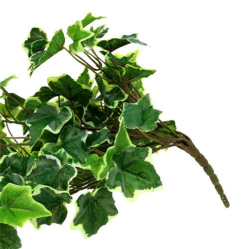 Floristik24 Murgrönahängare 80cm vitgrön