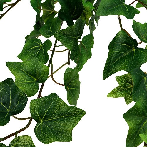 Floristik24 Konstgjord murgrönahängare grön L80cm