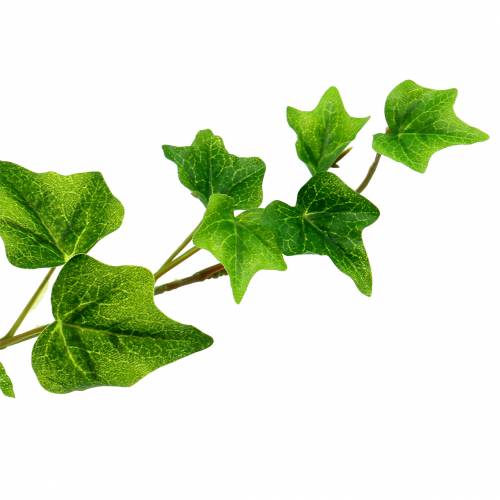 Floristik24 Murgrönahängare stort blad 86cm
