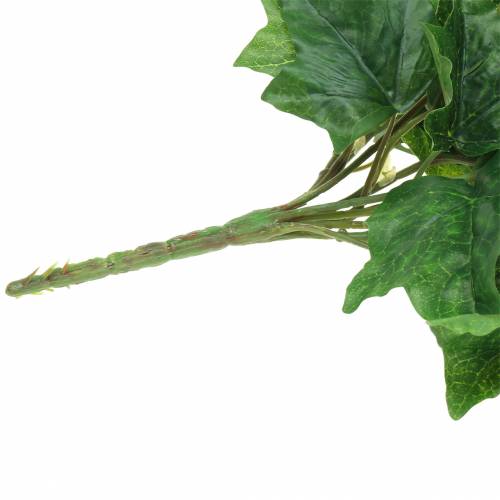 Floristik24 Murgrönahängare stort blad 86cm