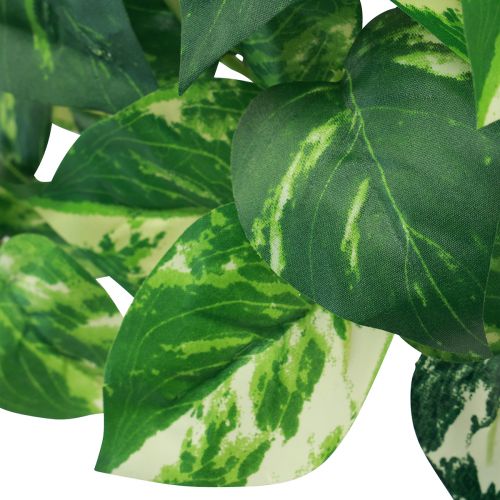 Floristik24 Murgrönaväxt Pothos murgröna konstgjord guldranka 50cm