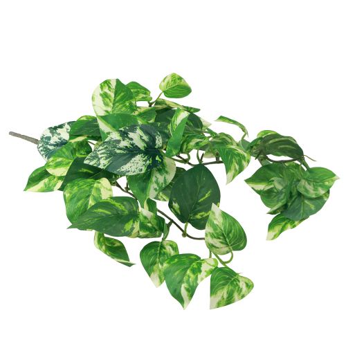 Floristik24 Murgrönaväxt Pothos murgröna konstgjord guldranka 50cm