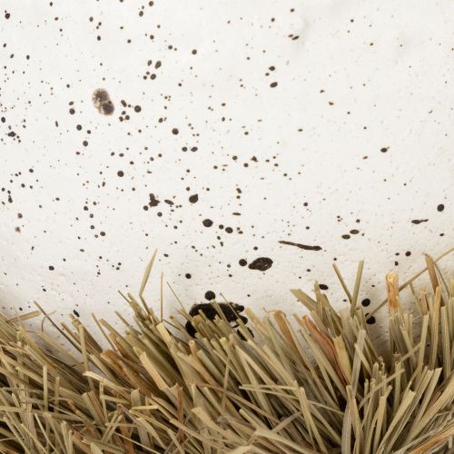 Artikel Påskboskål i äggform för vårdekoration 11 cm 4 st