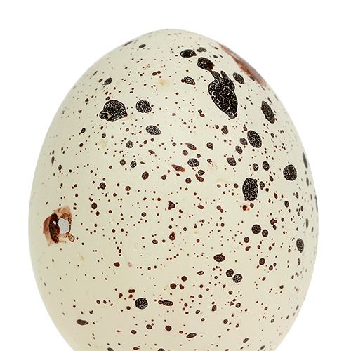 Floristik24 Ägg 6cm grädde av polystyren 12st