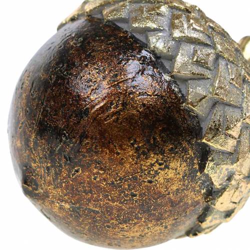Floristik24 Dekorativ ekollon gyllene Ø7,4cm H9,7cm