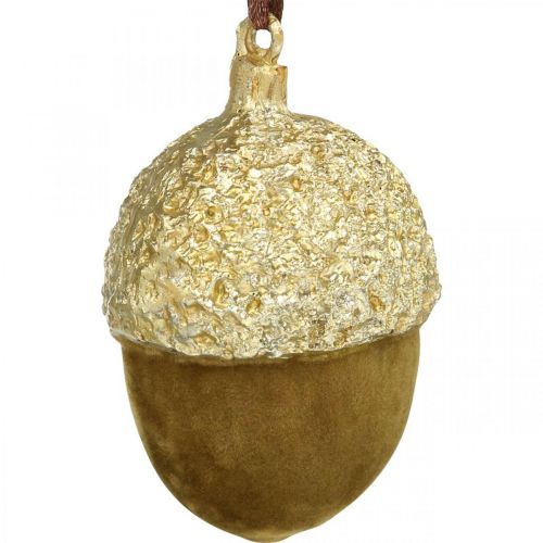 Artikel Ekollon för upphängning, advent, träddekoration, höstdekoration H6,5cm Ø4cm 6 st