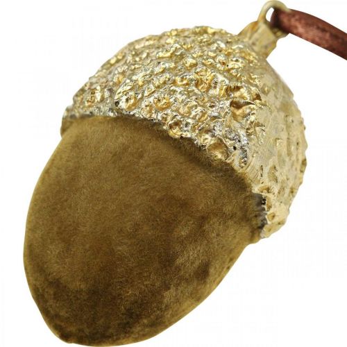Artikel Ekollon för upphängning, advent, träddekoration, höstdekoration H6,5cm Ø4cm 6 st