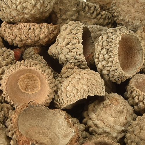 Artikel Ekollonhattar naturliga dekorativa ekollon för hantverk 1,5 cm 200 g