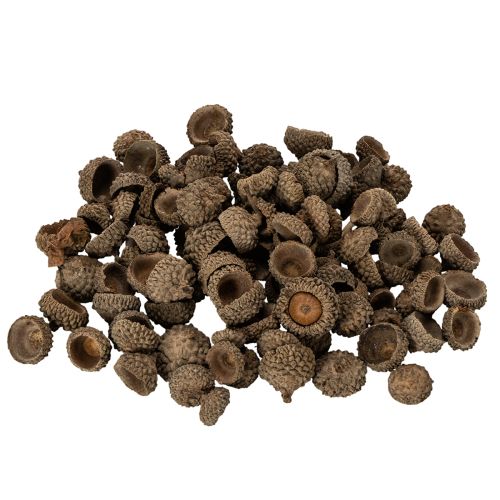 Naturliga ekollonhattar, dekorativa skålar för höst och advent, 2 cm, 300 g köpa | Floristik24.se