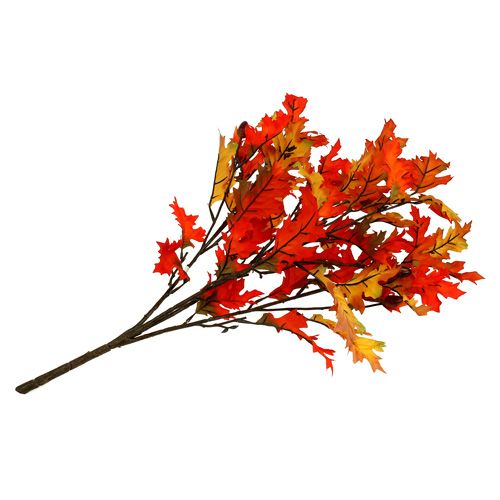 Floristik24 Ek lämnar buske orange 56cm