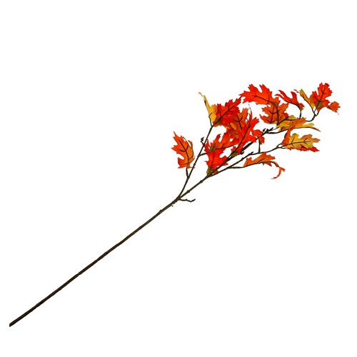 Floristik24 Ekbladgren orange 84cm