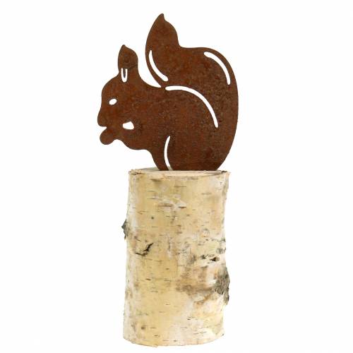 Floristik24 Ekorrpatina på stammen H22cm