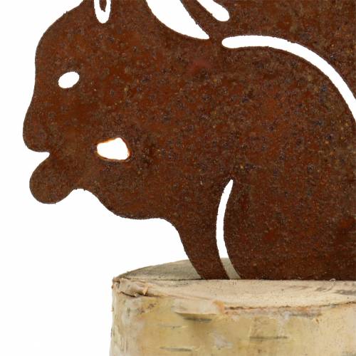 Floristik24 Ekorrpatina på stammen H22cm