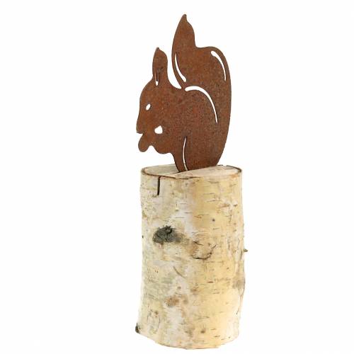 Floristik24 Ekorrpatina på stammen H22cm