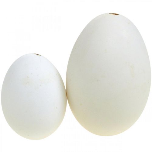 Artikel Svanägg &amp; kycklingägg mix utblåsta äggvita 5,5/8cm 9st