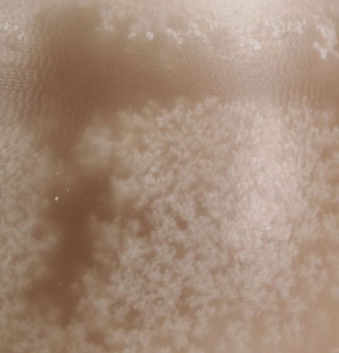 Floristik24 Dekorativt äggljus Sahara 14cm