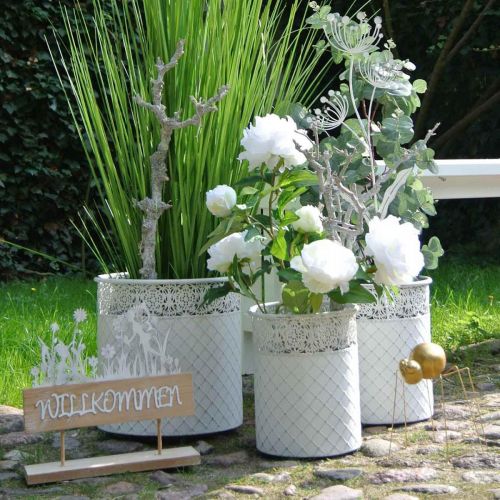 Artikel Plantkruka med spetsmönster, metallkärl, dekorativ hink vit, silver shabby chic H28/25,5/23,5 cm Ø29,5/25,5/20 cm set om 3