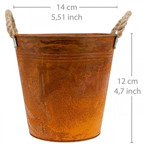 Floristik24 Växtkruka, höstdekoration, metallkärl med patina Ø14cm H12cm