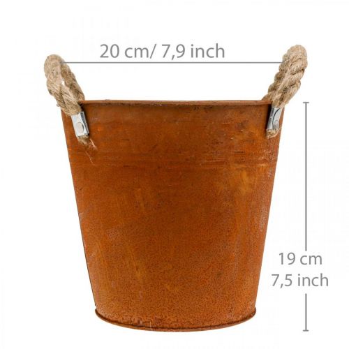 Floristik24 Dekorativ kruka med handtag, höstdekoration, metallskål patina Ø20cm H19cm