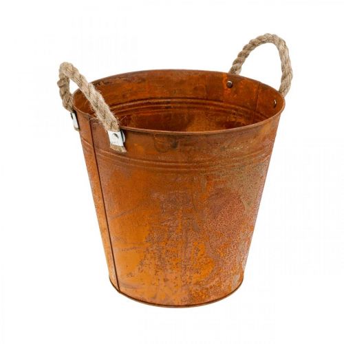 Floristik24 Planteringskärl med handtag, växtskål, metallkärl med rostdekor Ø25cm H24cm