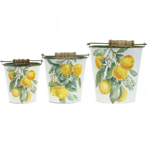 Floristik24 Dekorativ hink citroner medelhavskruka Ø13,5/11/9cm H14/11,5/cm set om 3