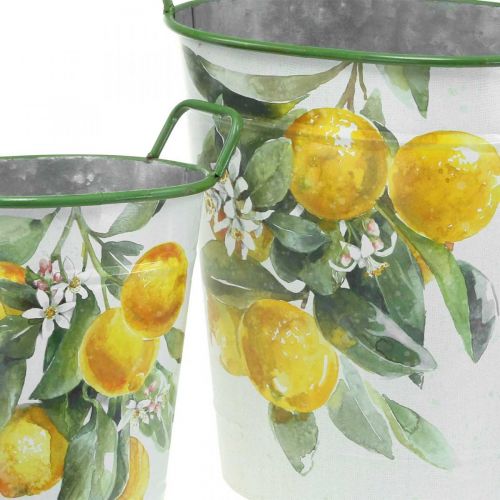 Floristik24 Medelhavet plåtbalja, planteringskärl med citronmotiv vit, grön, gul H43,5/34cm B36,5/27,5cm set om 2