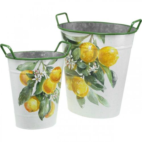Medelhavet plåtbalja, planteringskärl med citronmotiv vit, grön, gul H43,5/34cm B36,5/27,5cm set om 2